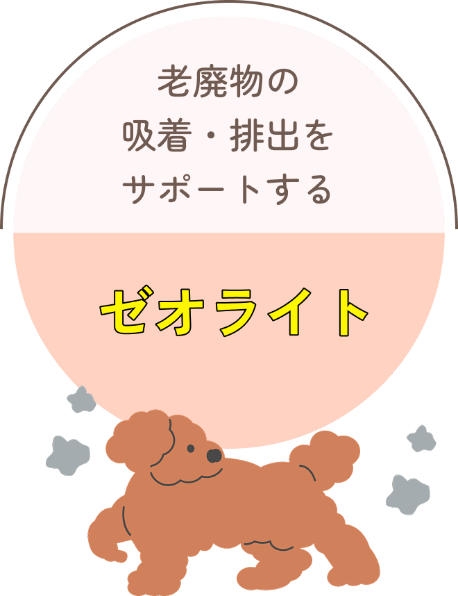 老廃物の吸着・排出をサポートする ゼオライト