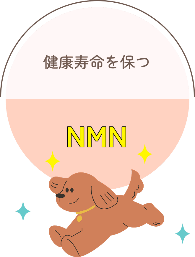 健康寿命を保つ NMN