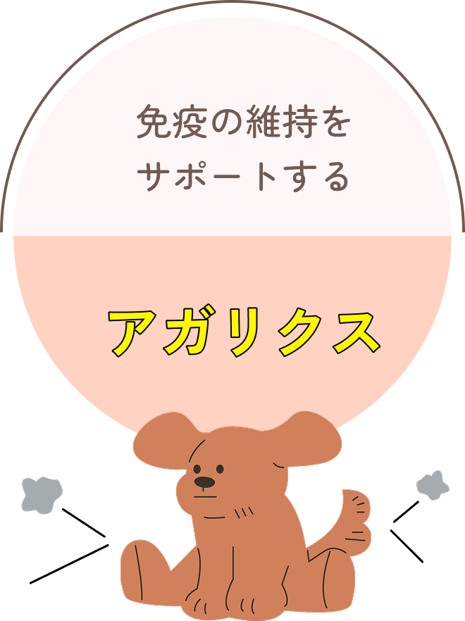 免疫の維持をサポートする アガリクス